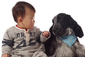 犬と子供の撮影